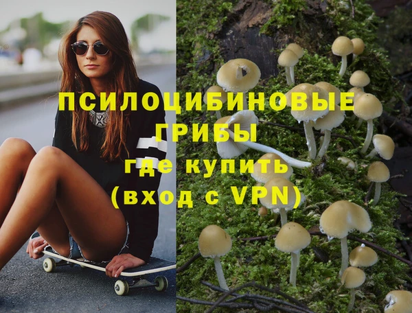 молекула духа Верхний Тагил