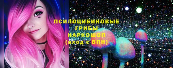 молекула духа Верхний Тагил