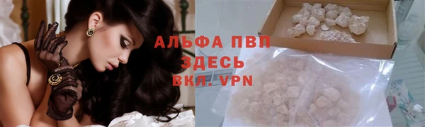 молекула духа Верхний Тагил