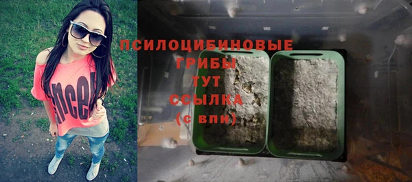 молекула духа Верхний Тагил
