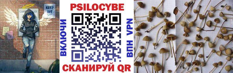 Псилоцибиновые грибы ЛСД  Купить где  Новотроицк 