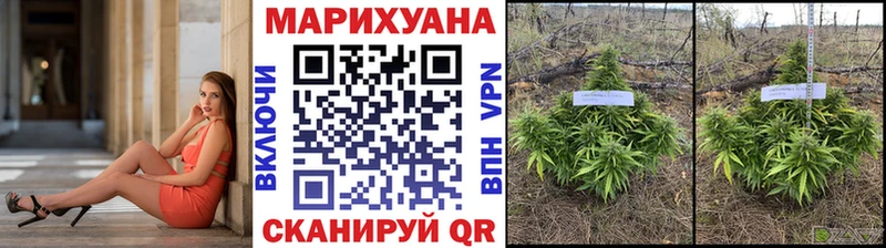 Купить где  Новотроицк  МАРИХУАНА ГИДРОПОН 